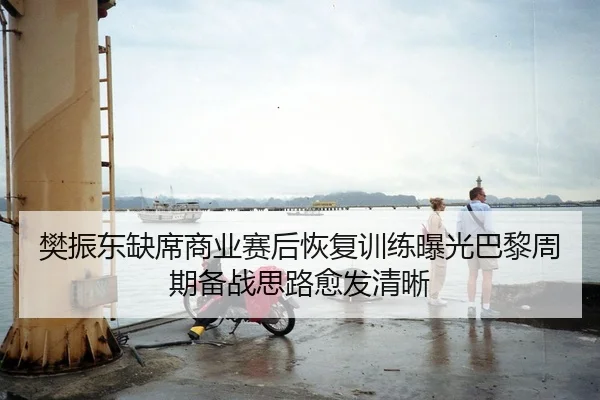 樊振东缺席商业赛后恢复训练曝光巴黎周期备战思路愈发清晰